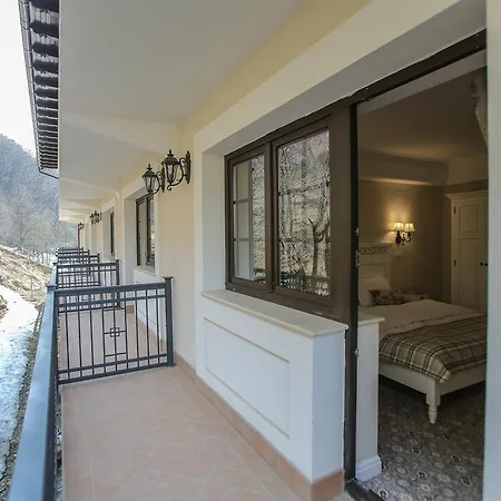 Guest house Pensiunea Dimitrios 4*